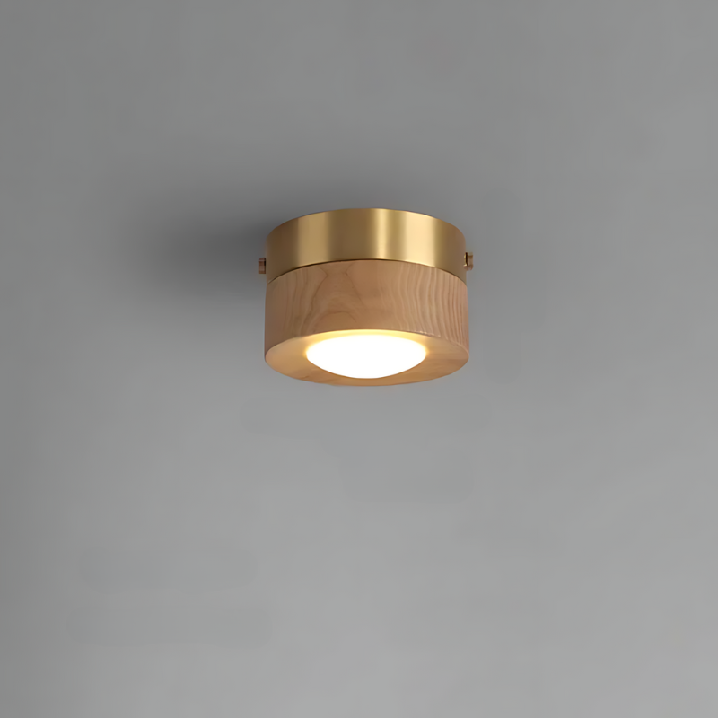Walnut LED Ceiling Light with Round Spotlight