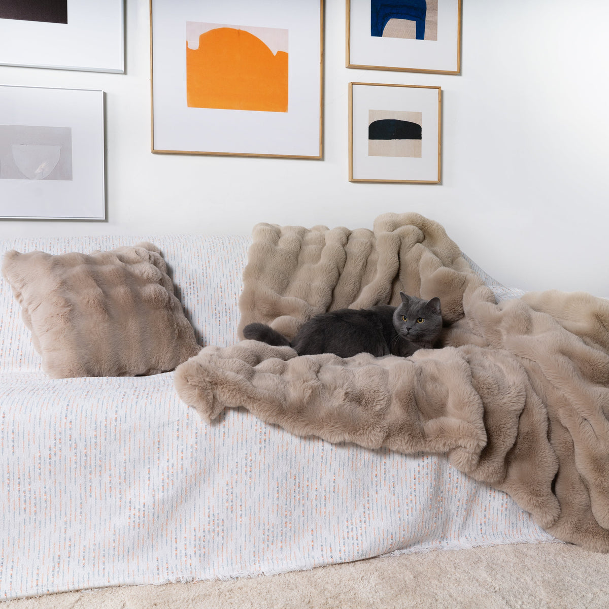 Plush Faux Fur Throw Set with Pillow Cover
