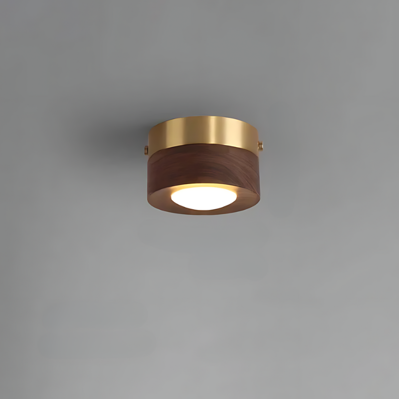 Walnut LED Ceiling Light with Round Spotlight